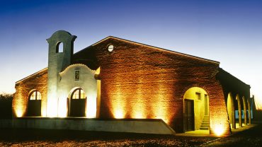 Rota das vinícolas no Uruguai: enoturismo no coração dos vinhedos