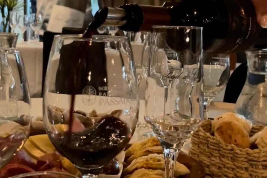 Bodega Santa Rosa – Degustación clásica